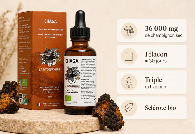 Chaga Bio – Extrait Liquide