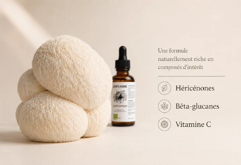 Lion’s Mane Bio – Extrait Liquide