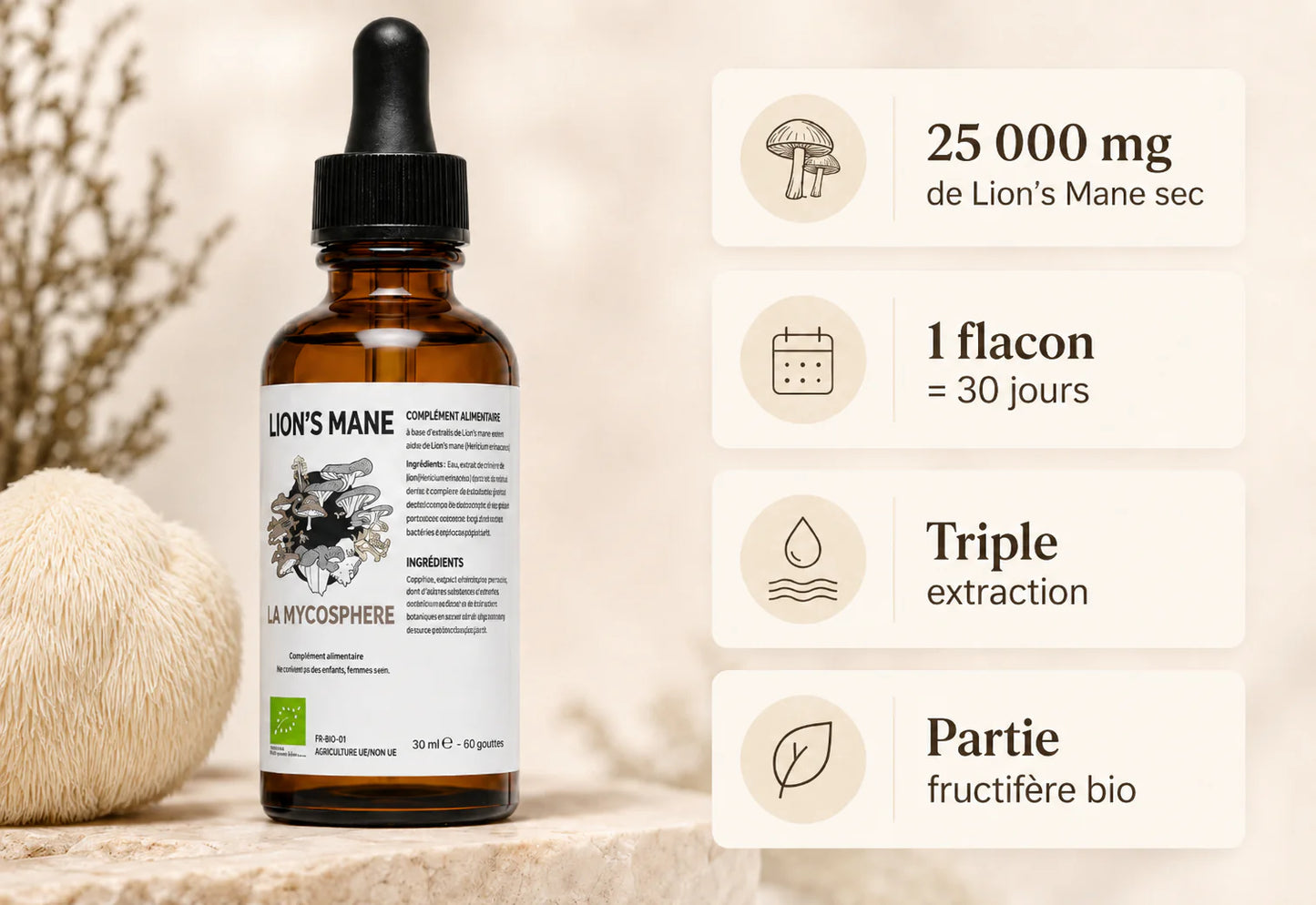 Lion’s Mane Bio – Extrait Liquide