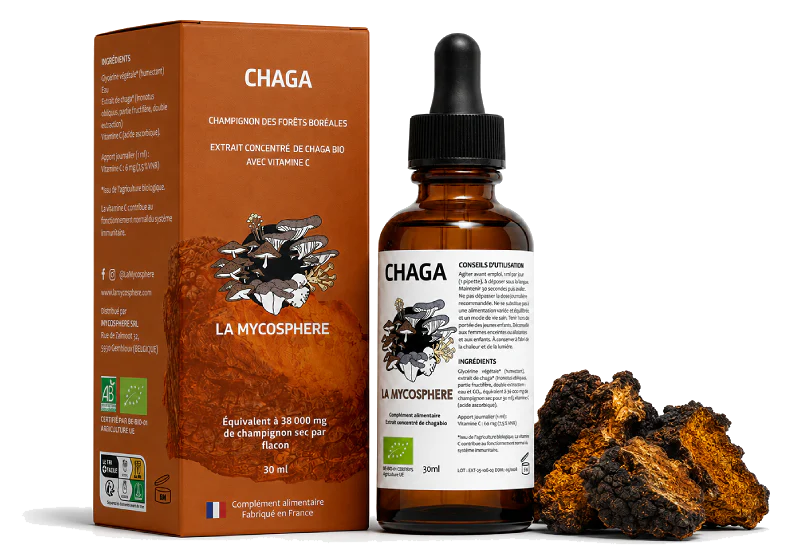 Chaga Bio – Extrait Liquide