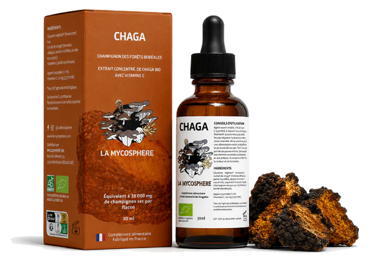 Chaga Bio – Extrait Liquide
