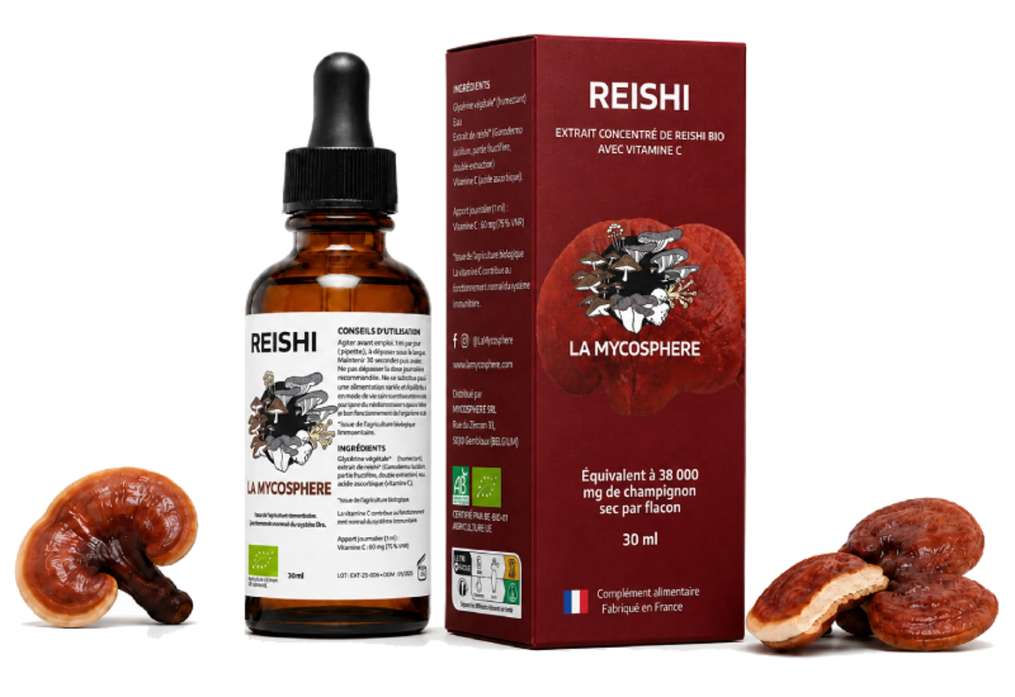 Reishi Bio – Extrait Liquide